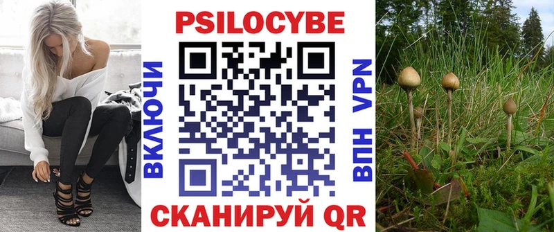 mega как зайти  Щёлкино  Псилоцибиновые грибы мухоморы  закладки 